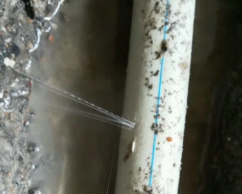 山东卫生间测漏水多少钱