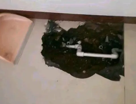 山东卫生间测漏水多少钱